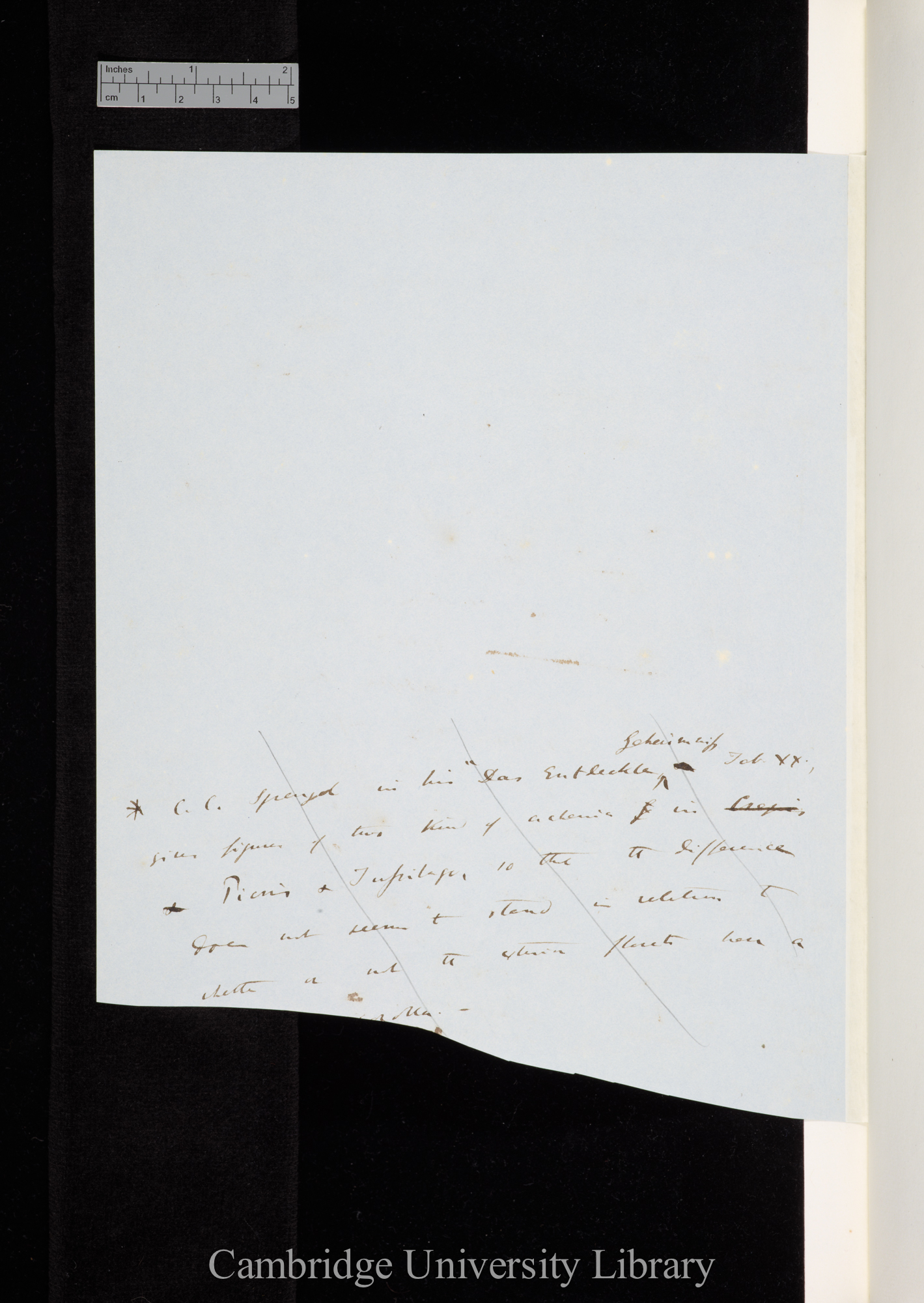 [Insert to Ms p 34]&gt;