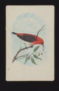 MS-RCMS-00278-00007-00004