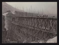 PH-Y-03062-R-00004